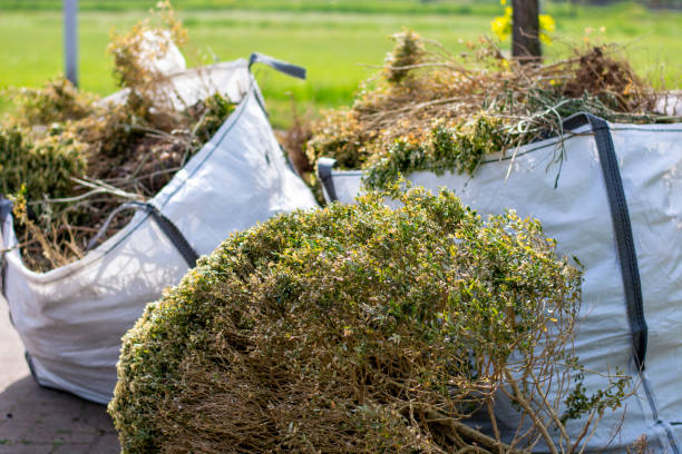 Best Dumpster Rental Services  in Leilani Estates, HI